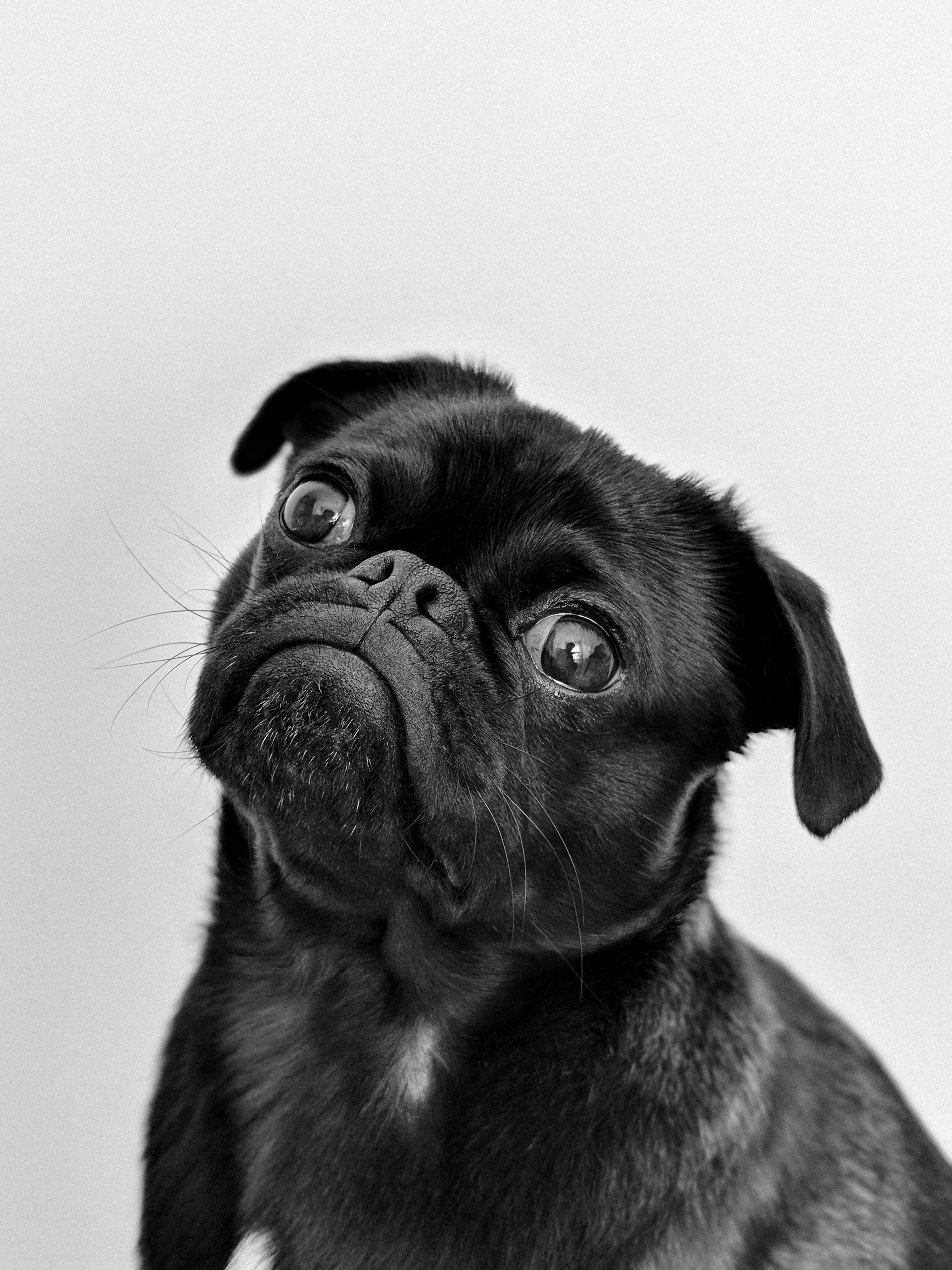 صورة 1